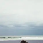 puppy-at-the-beach